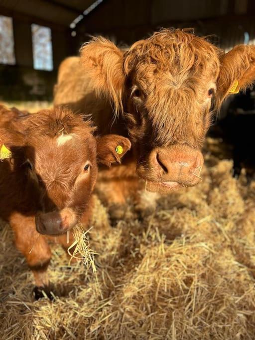 Vila Highland Rural Farm Retreat,Loch Ness, Nc500, Beauly Inverness Exteriér fotografie